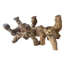 Vintage Coastal Cypress Root Burl Wood Driftwood Root Coffee Cocktail Table